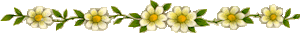blumenlinie blumenlinie